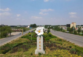 杏花雕塑常用，景觀概念，不銹鋼杏花雕塑廠家
