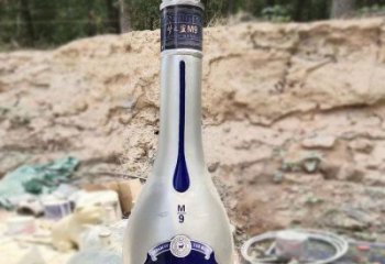 洋酒瓶雕塑訂做，街景小品，景觀玻璃鋼洋酒瓶雕塑制作