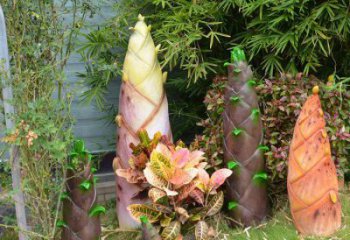 竹筍雕塑供需，小區(qū)雕塑，不銹鋼竹筍雕塑制造廠家