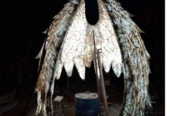 鳥(niǎo)翅雕塑供需，廣場(chǎng)雕塑，不銹鋼鳥(niǎo)翅雕塑定制