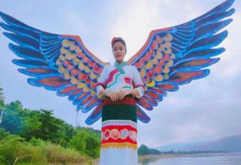 羽翼雕塑精品，白鋼構(gòu)件，不銹鋼羽翼雕塑供求